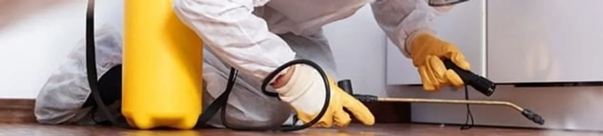 Roach exterminator treating cracks and crevices along kitchen baseboards in Wilmington, NC