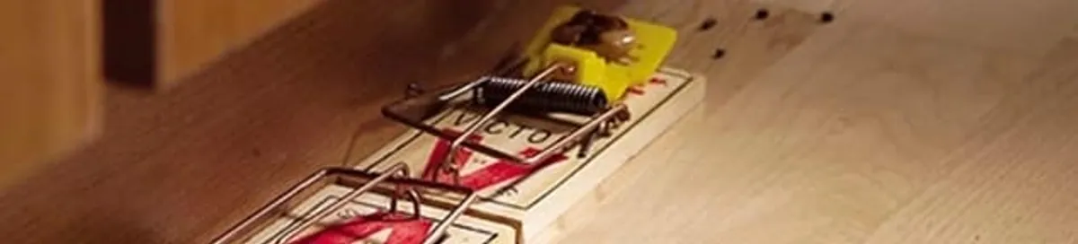 Rodent trap set indoors for rodent control and prevention in Wilmington, NC